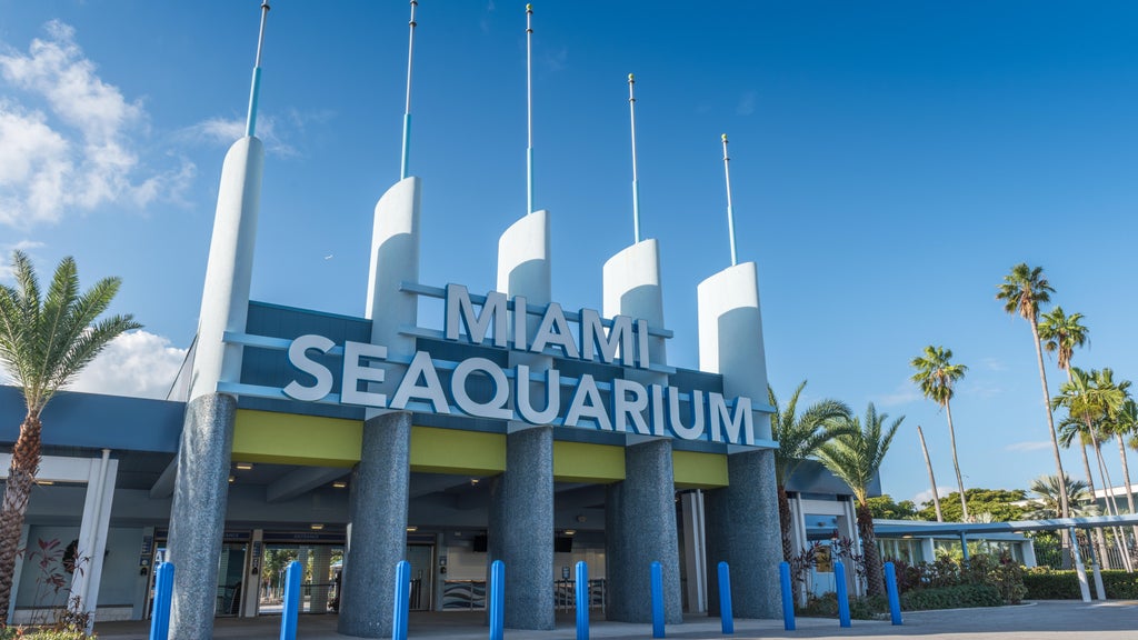 2 Miami-Dade residents sue to require countywide vote on Miami Seaquarium marina development plan — CBS Miami, Portola Valley Real Estate news