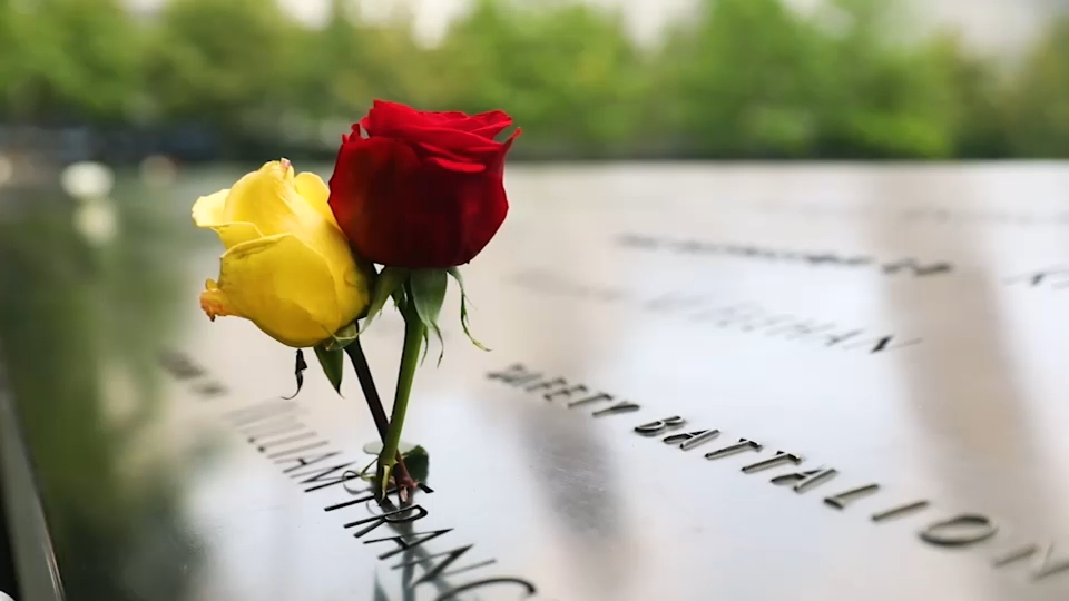 Second 9/11 victim identified with breakthrough genetic genealogy, NYC officials say
       — ABC 7 Bay Area, Portola Valley Community news