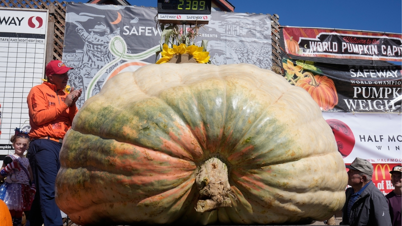 A giant pumpkin named Rocky gives a champion grower his California comeback
— ABC 7 Bay Area, Portola Valley Schools news