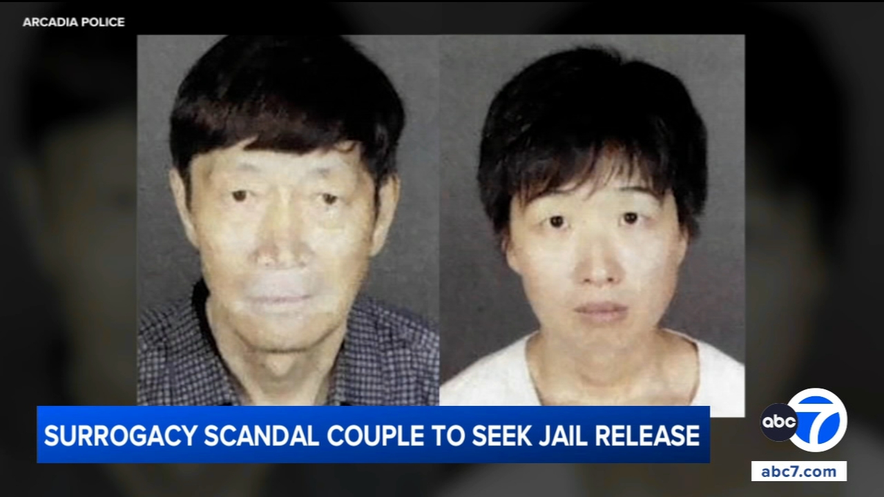 California couple accused in surrogacy scandal to seek release from jail, attorneys say
       — ABC 7 Bay Area, Portola Valley Community news