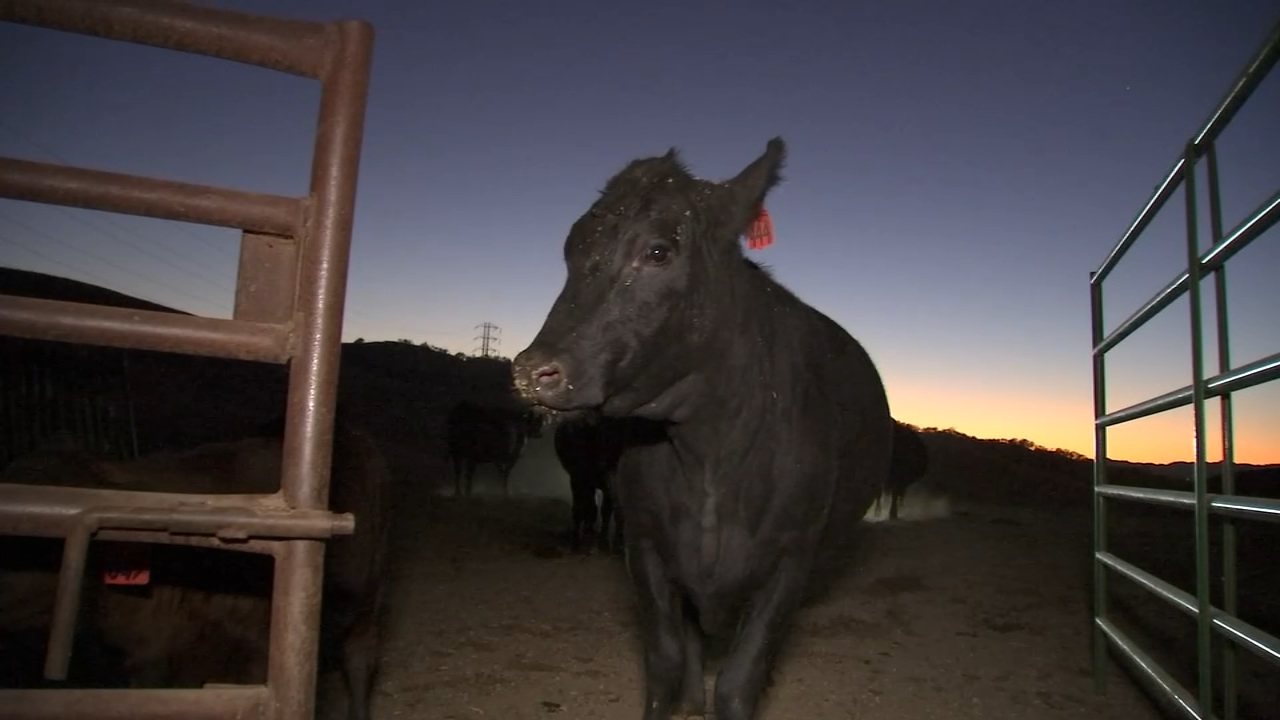 PG&E Public Safety Power Shutoffs leave Bay Area ranchers, residents frustrated
— ABC 7 Bay Area, Portola Valley Community news