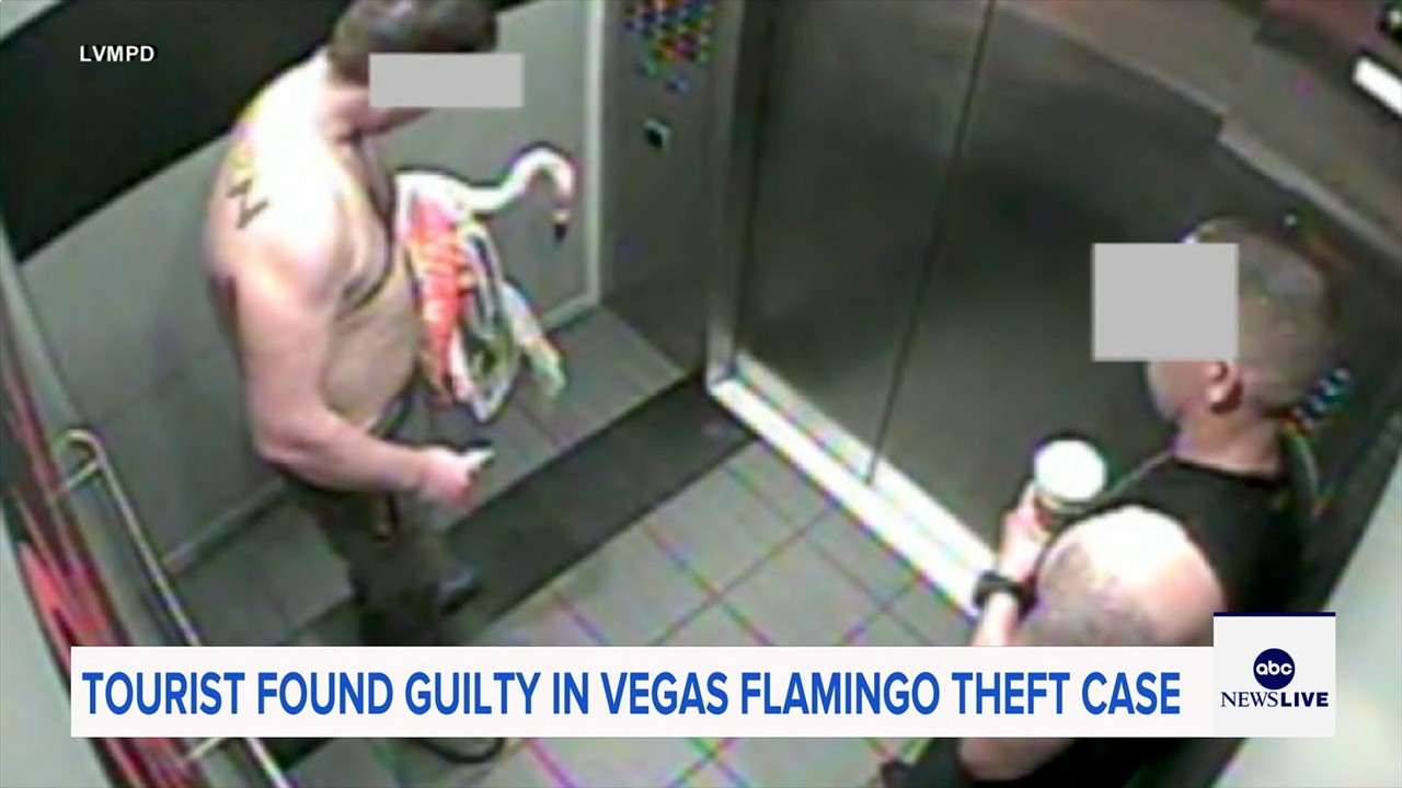 Man who snatched Peachy the flamingo from Las Vegas hotel exhibit found guilty of animal cruelty
— ABC 7 Bay Area, Portola Valley Arts news