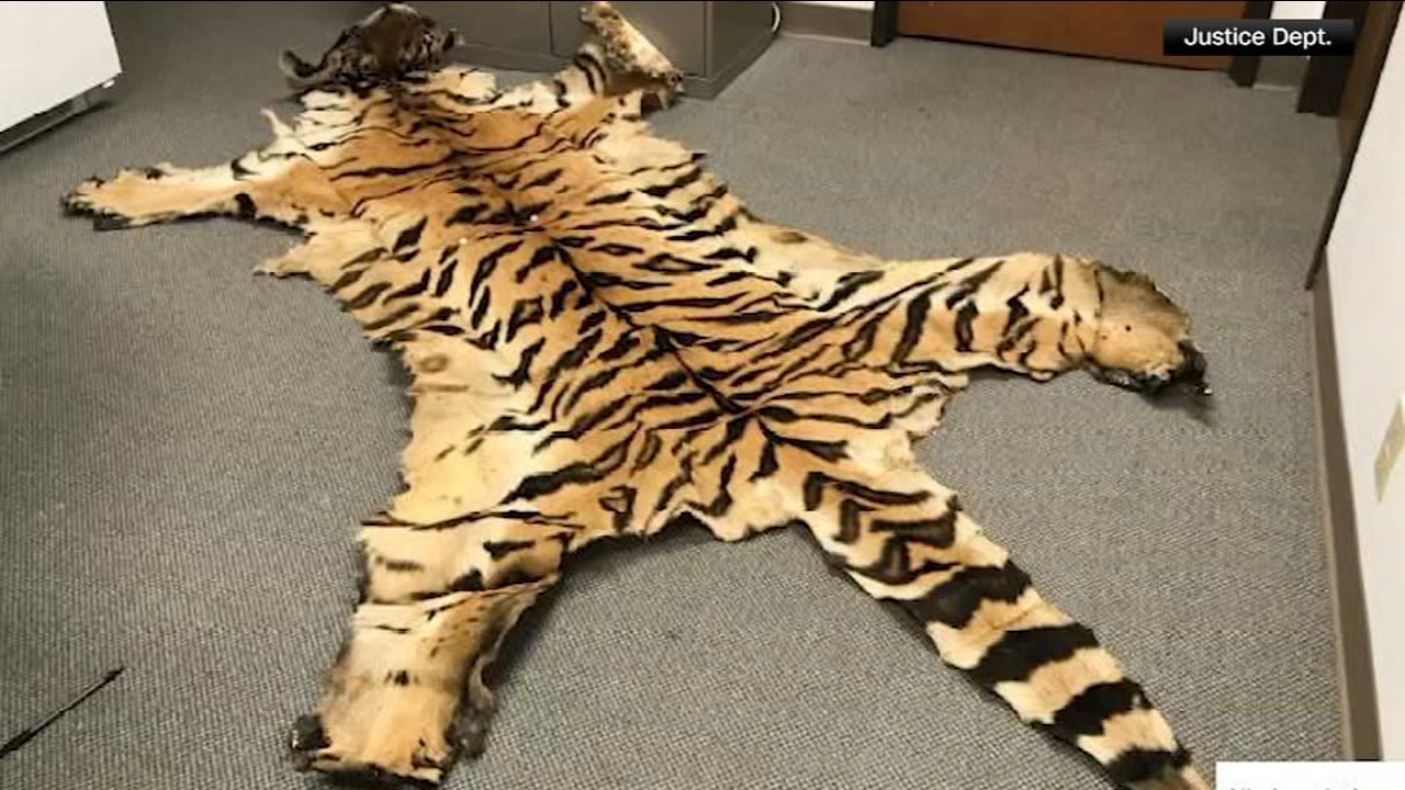 California couple pleads guilty to trafficking wildlife
— Portola Valley Community news