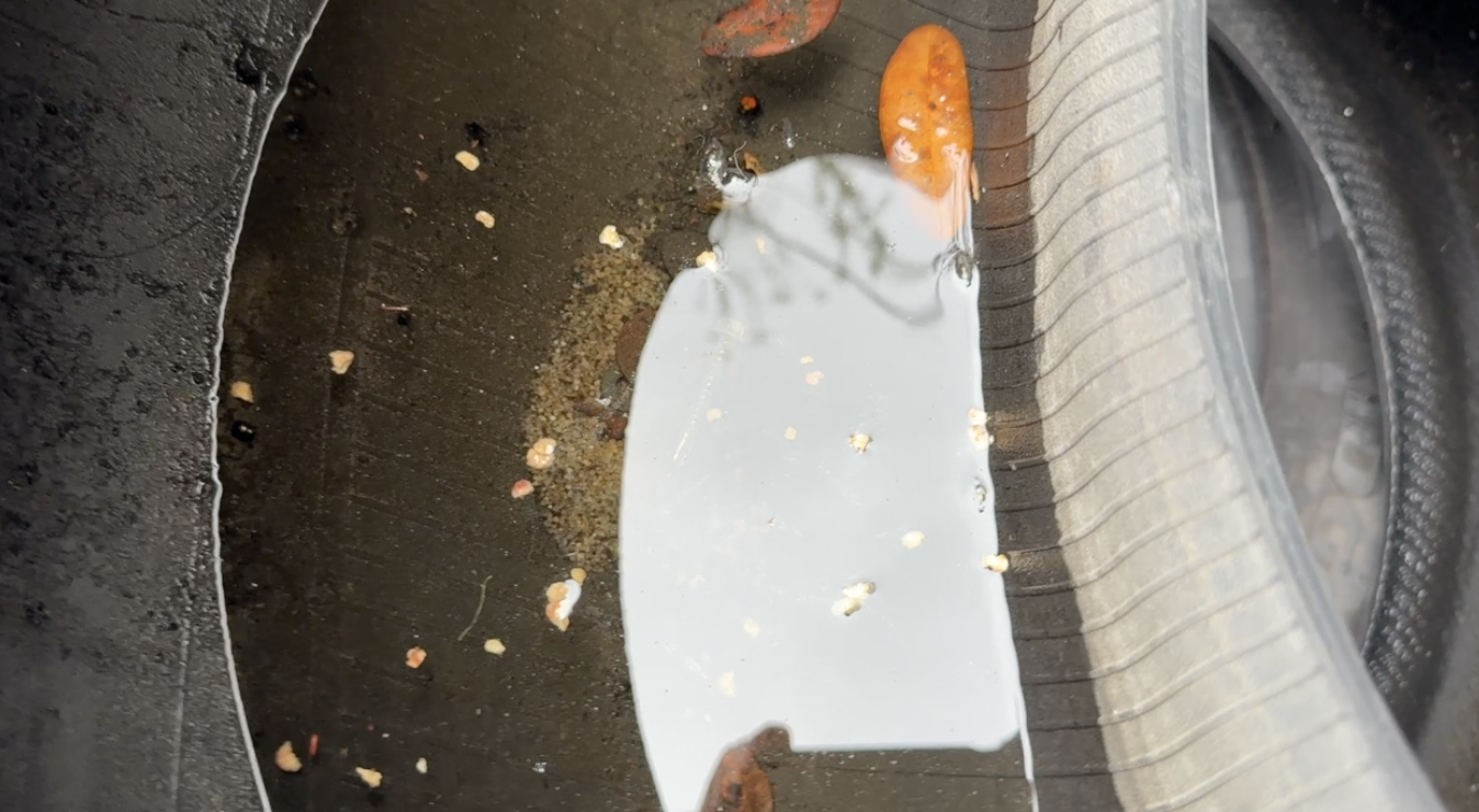 Dengue response: What Tampa Bay 28 found at a West Tampa tire shop — WFTS ABC Action News Tampa, Portola Valley Real Estate news