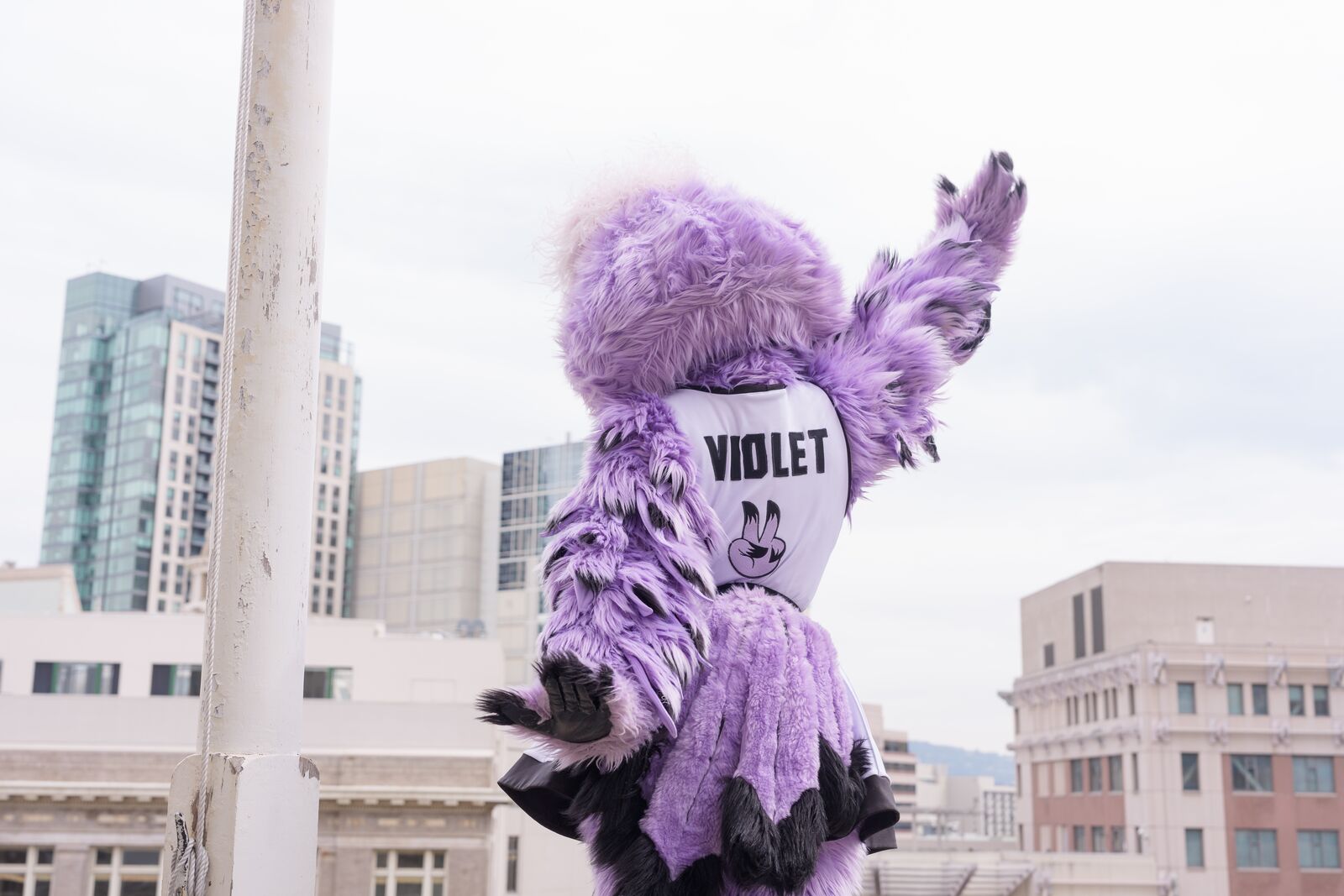This week in Oakland: an outdoor Valkyries watch party, and singersongwriter Laura Anglade at Yoshi’s — The Oaklandside, Portola Valley Arts news
