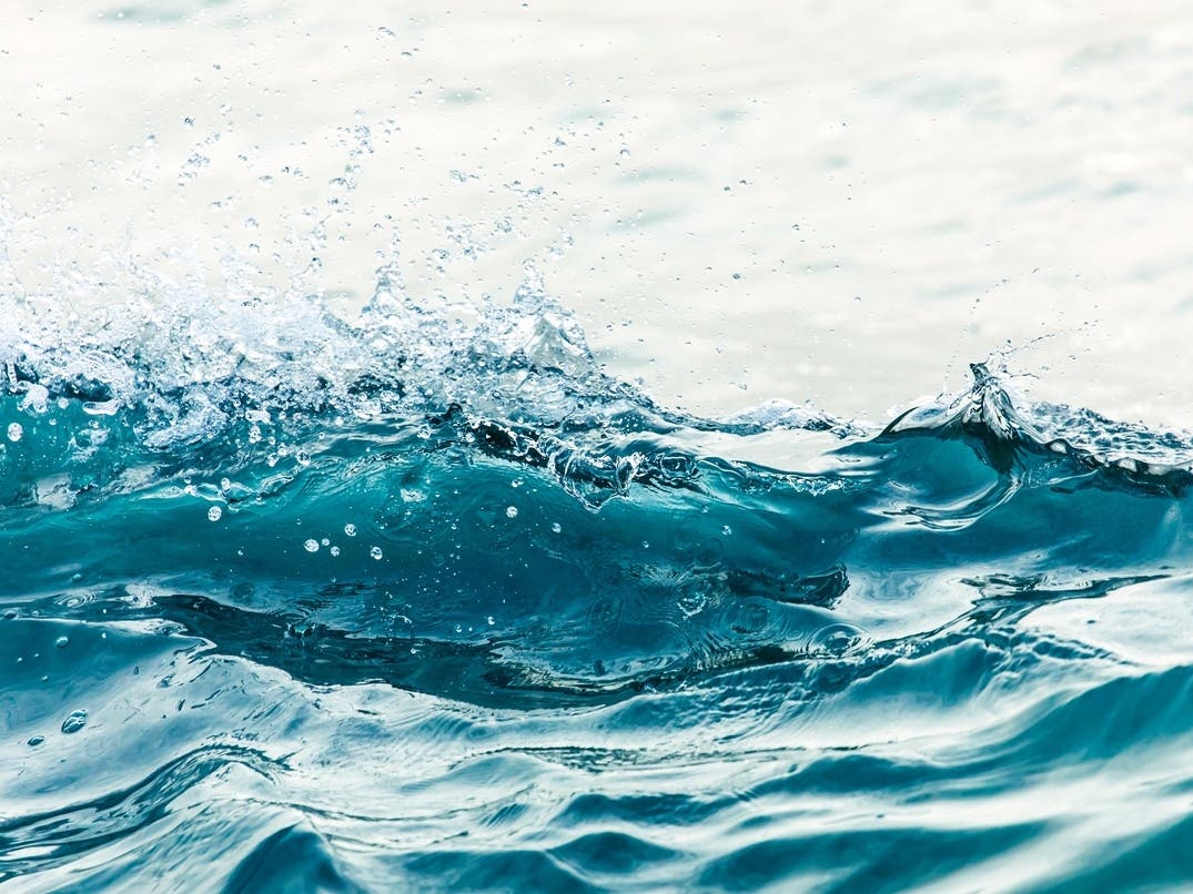 Deadly Hostage Standoff Details | Kelvin Wave Brings Record Sea Levels: Patch PM — San Francisco Patch, Portola Valley Community news