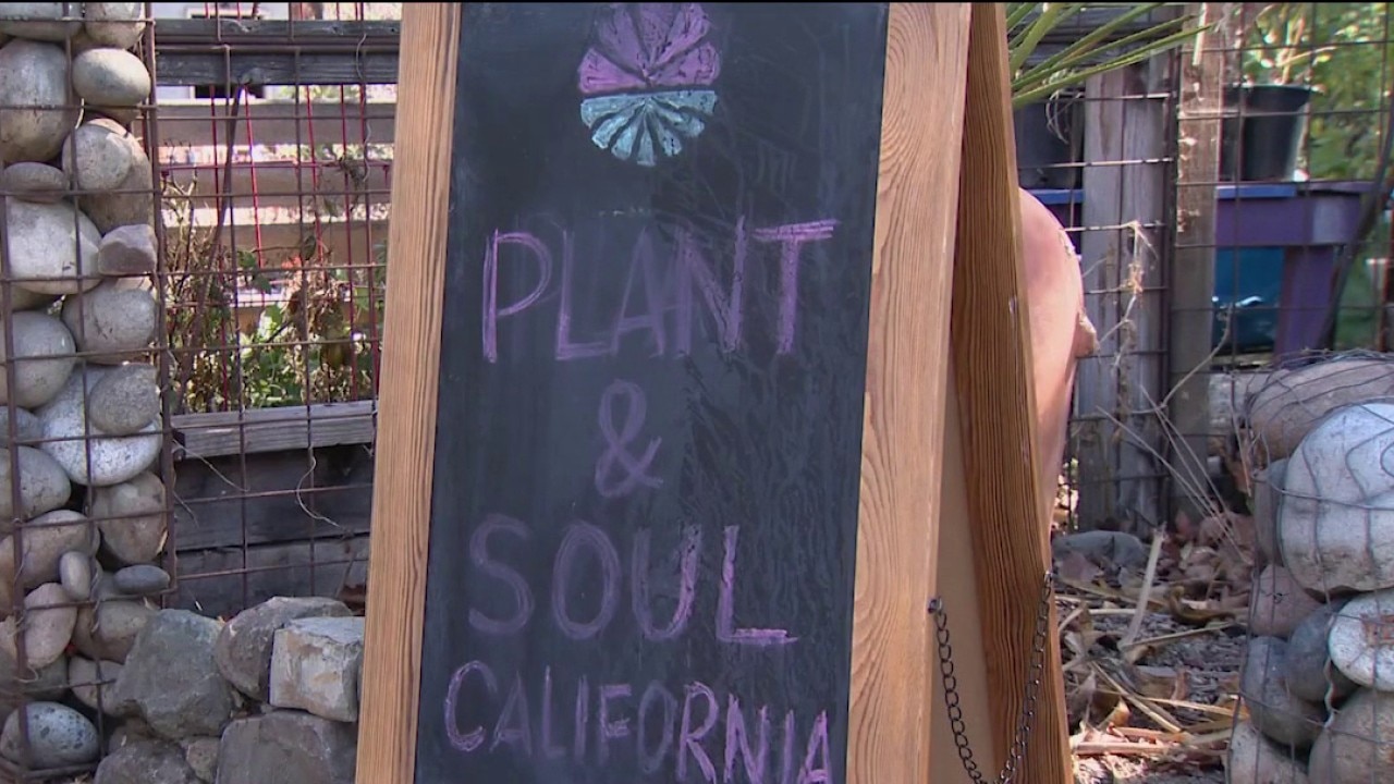 San Jose community garden faces possible eviction — KTVU FOX 2 Bay Area, Portola Valley Schools news
