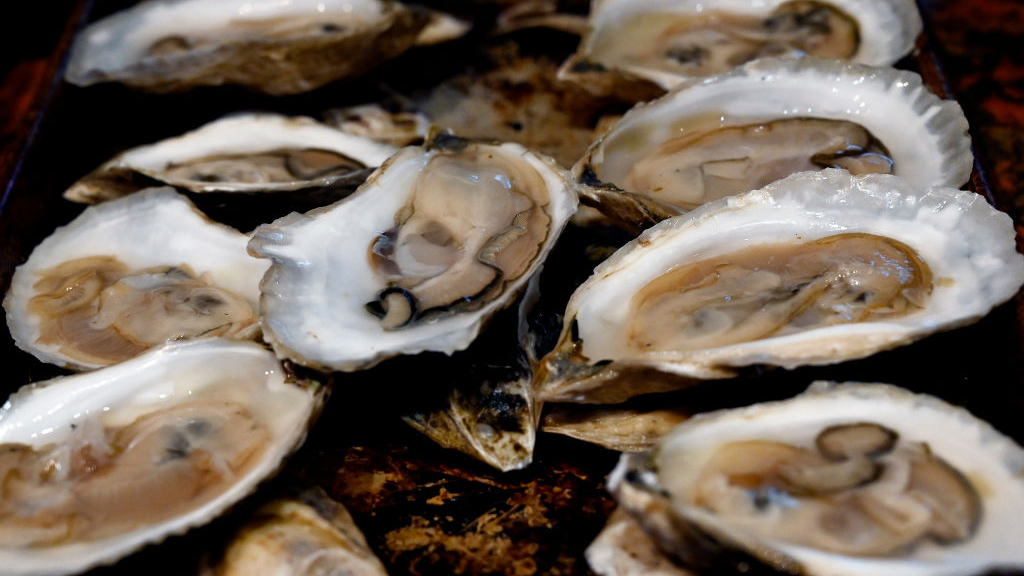 Sewage leak temporarily halts Tomales Bay oyster harvest — KTVU FOX 2 Bay Area, Portola Valley Business news