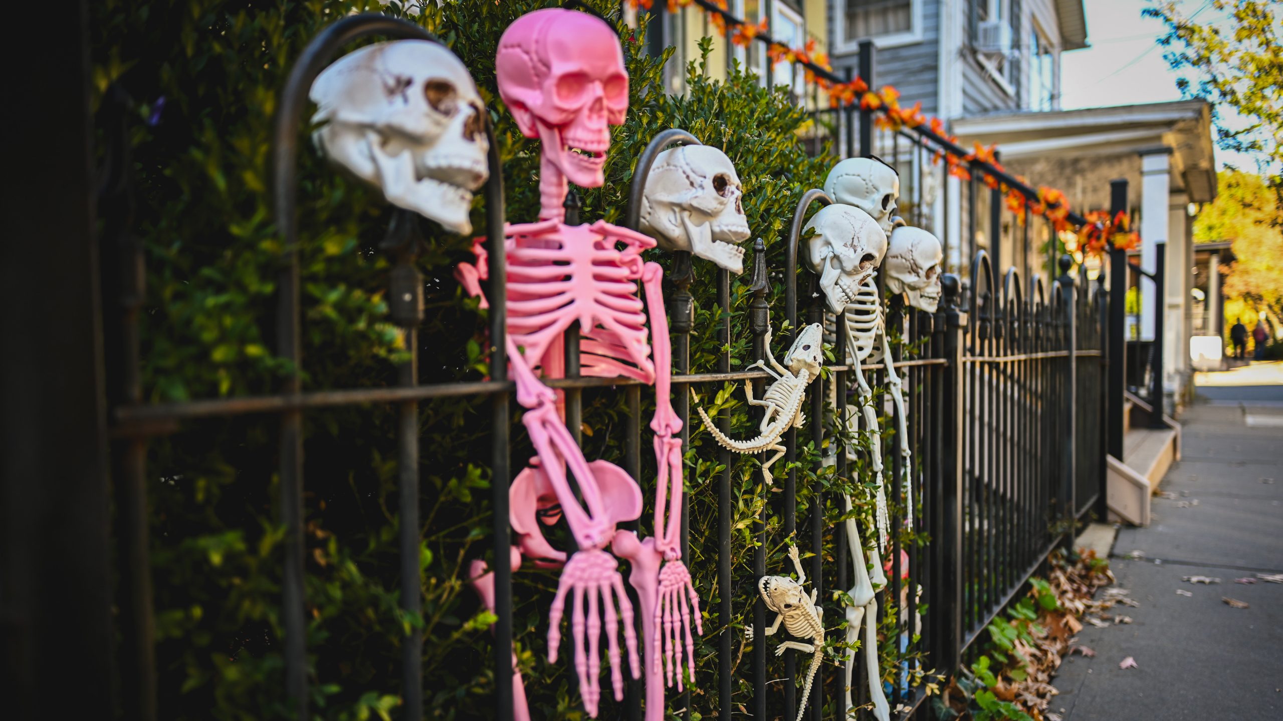America's best cities for Halloween, ranked — KTVU FOX 2 Bay Area, Portola Valley Community news