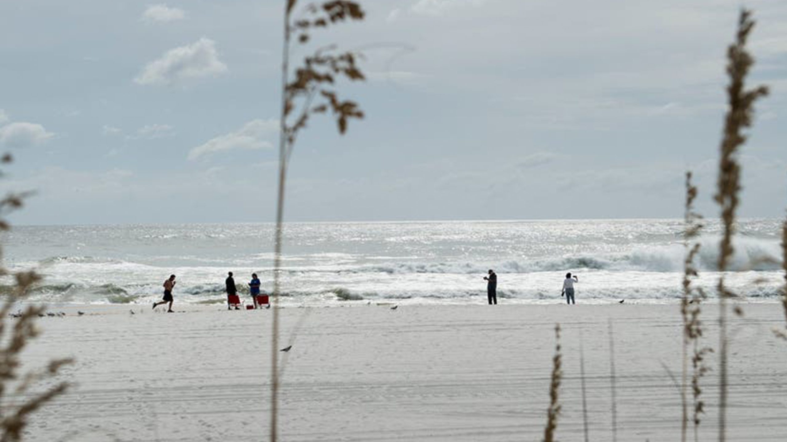 Father of 2 drowns after being caught in current trying to rescue seagull caught in fishing line β KTVU FOX 2 Bay Area